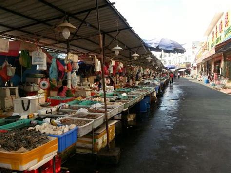 zhuhai restaurants|zhuhai attractions.